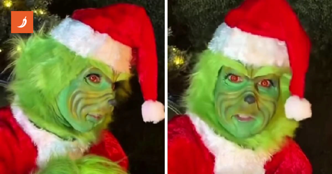 Morate vidjeti kako je Celine Dion fanovima čestitala blagdane – ovo je hit 😂