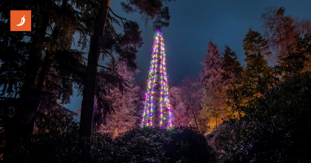 Ovo je najviše božićno drvce na svijetu