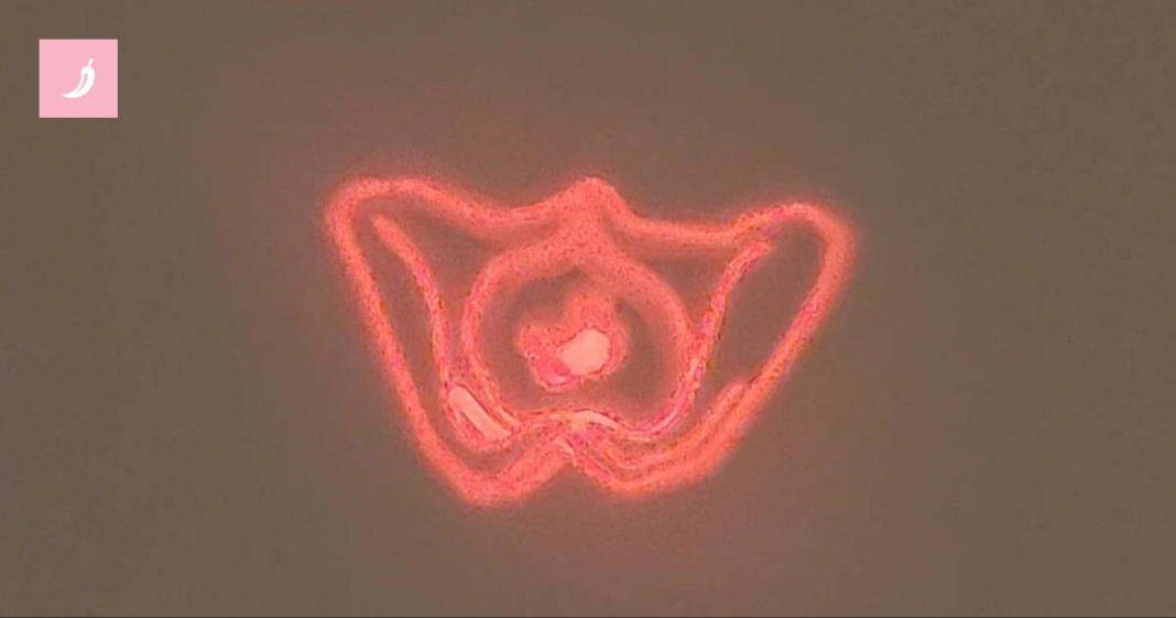 Majku zbunila igračka njezine kćeri, na Redditu odgonetnuli o čemu se radi