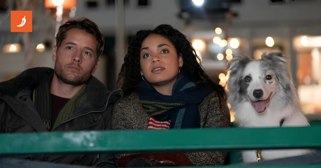 Zašto zimi svi odjednom žele biti u vezi? Nije samo zbog dekice i Netflixa 🫣