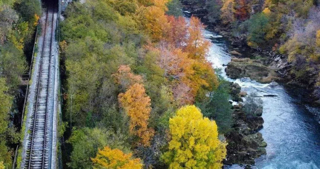 Dio bh. građana u “ekstazi”, simbol jednog vremena uskoro se vraća?!
