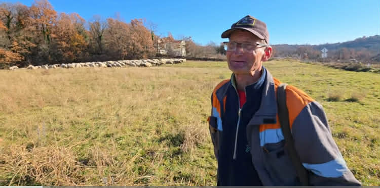 Halir iz Zenice otišao u Široki da čuva ovce: Ispod 2.000 KM se ne isplati