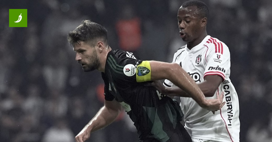 Hrvoje Smolčić zabio u pobjedi Kocaelispora, Petkoviću 88 minuta