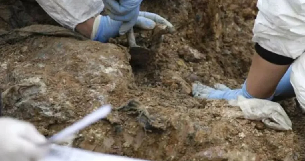 Identifikovane dvije žrtve rata iz istočne Bosne: Robert Rahić je imao samo 18 godina