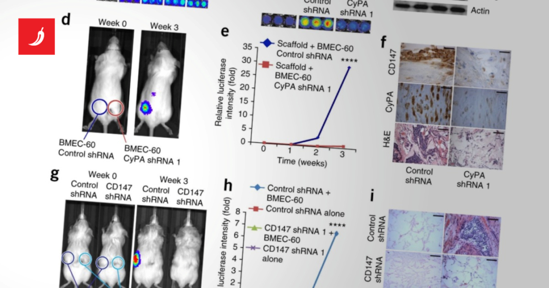 Institut povezan s Harvardom manipulirao studijama. Platit će 15 milijuna dolara