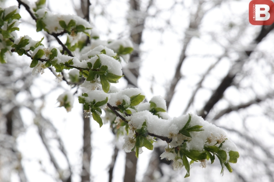 JANUAR SPREMA NOVA IZNENAĐENJA: Evo kakvo nas vrijeme očekuje u narednih 15 dana i kada se očekuje snijeg…