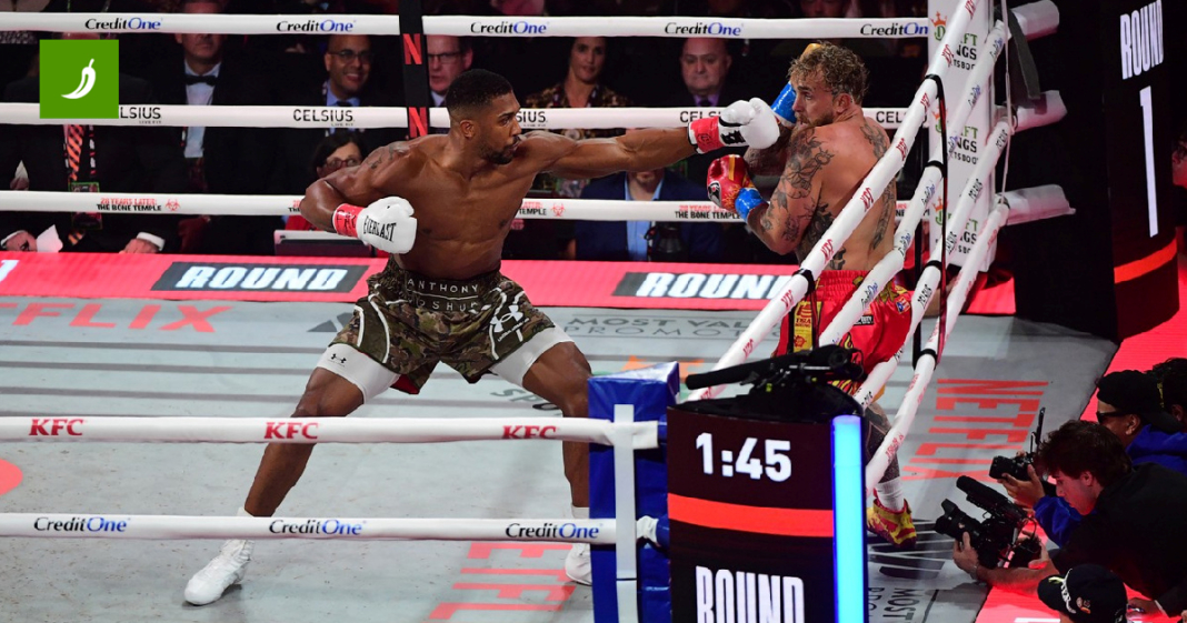 Komentator borbe Paula i Joshue: Navijači nisu platili da gledaju ovo s*anje!