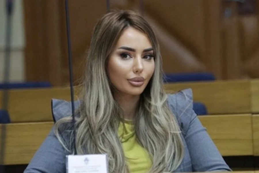 ‘NIKOLINA ŠLJIVIĆ JE SAMO SIMPTOM’: Pravi krivac je Nenad Stevandić