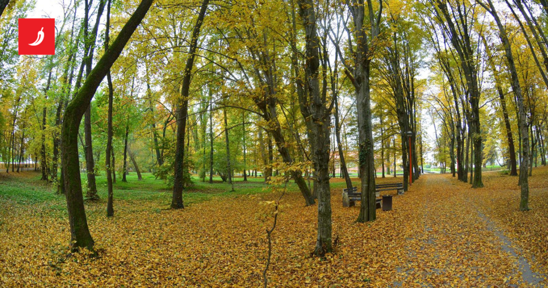 Pijan pucao iz signalnog pištolja u Daruvaru