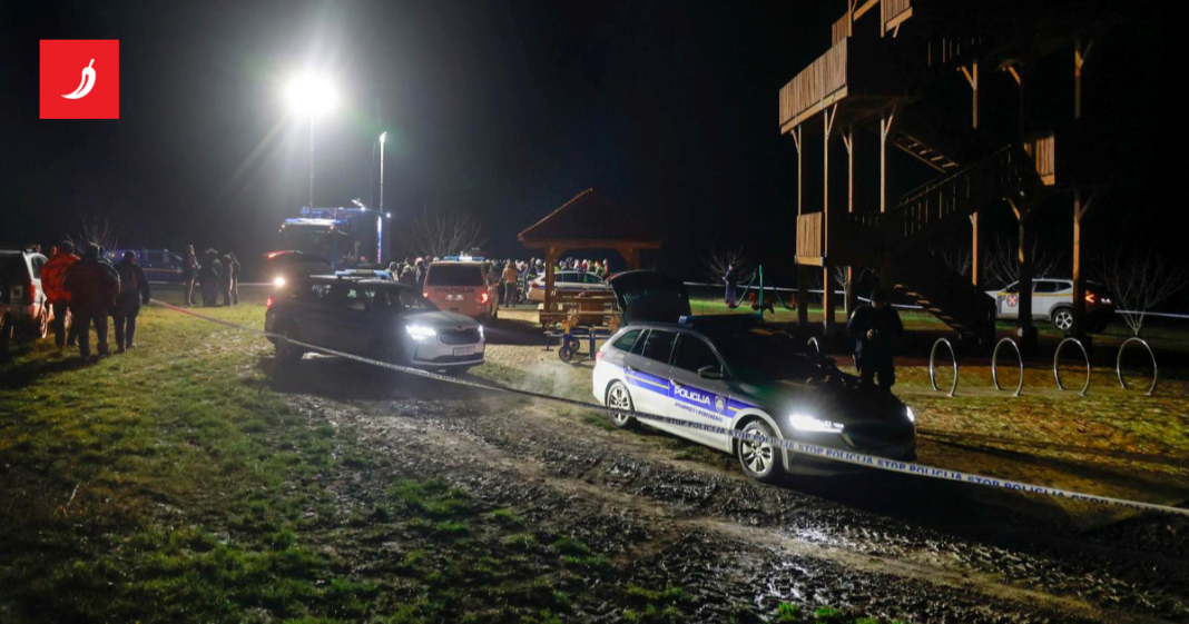 Pronađen dječak koji je nestao u Baranji. “Uplašio se, pobjegao u šumu i zaspao”