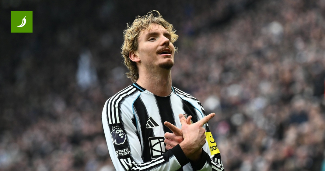 Woltemadeu, divu kojeg su doveli “idioti”, vrijednost u godinu dana porasla 833 posto