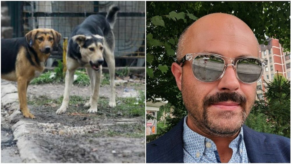 neizvjesna završnica u Sarajevu: Psi lutalice napali oca dok je vodio kćerke u školu