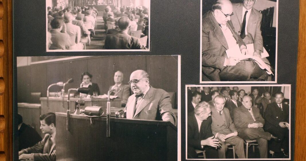 ‘Hrvatski i srpski, kao što svi znaju, pa i svaki idiot, jedan su jezik!’