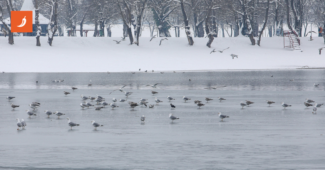 FOTO Zaledio se zagrebački Jarun