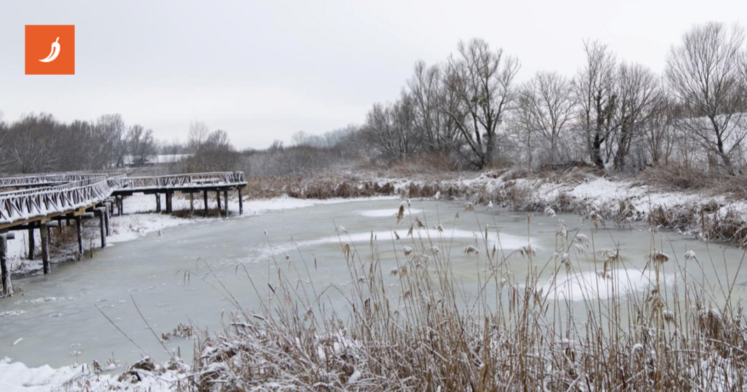 FOTO Snijeg zabijelio Kopački rit, prizori su divni 🤩