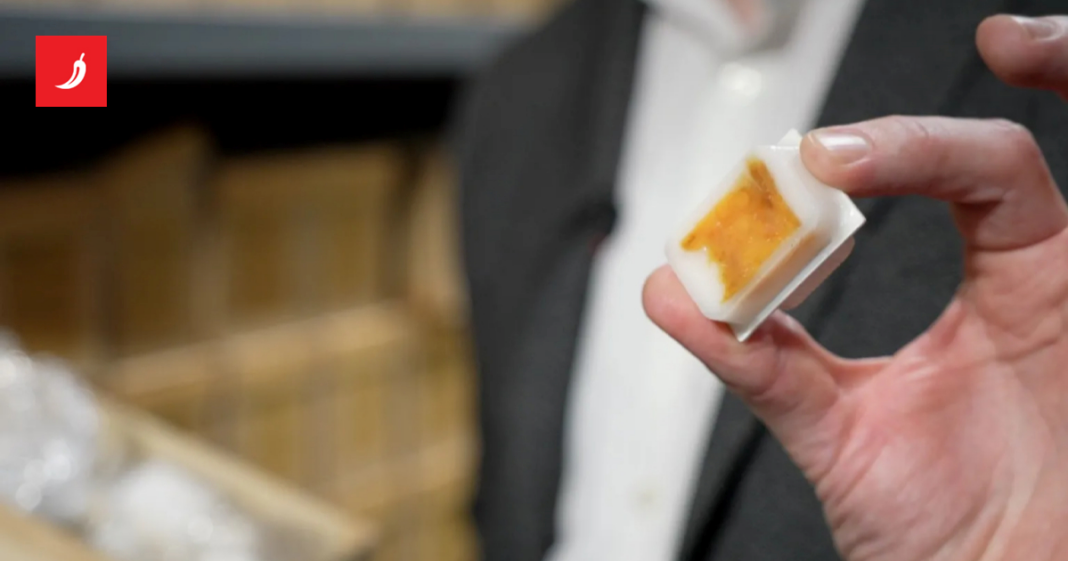 Analiza stoljetnih tumora rješava misterij raka crijeva kod mladih