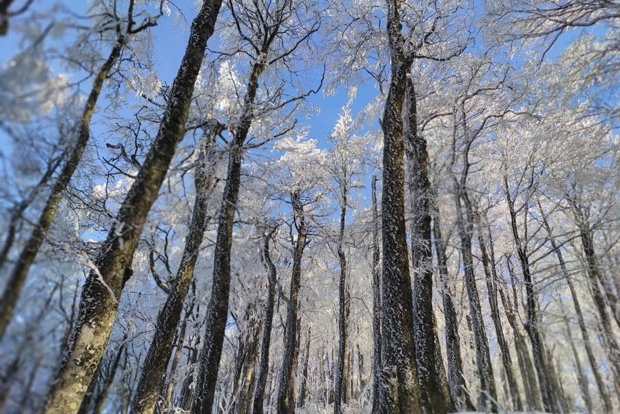 BiH POD NARANDŽASTIM METEOALARMOM: Širom zemlje se očekuju vrlo niske temperature zraka BiH POD NARANDŽASTIM METEOALARMOM: Širom zemlje se očekuju vrlo niske temperature zraka