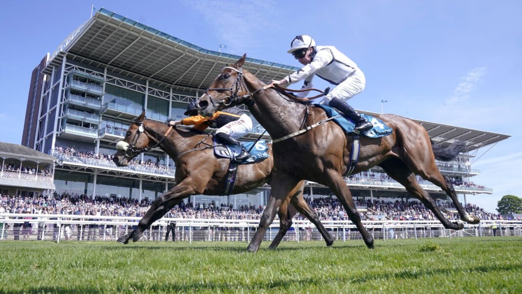 Danas na Sky Sports Racing: Marshman i Diligent Harry ponovo se sukobljavaju u Kachy Stakes