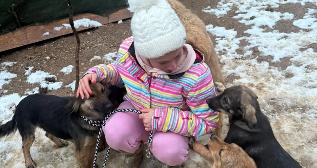 (FOTO) Promrzlim šapama je sevap pomoći: Toplina, hrana i malo ljubavi čine čuda