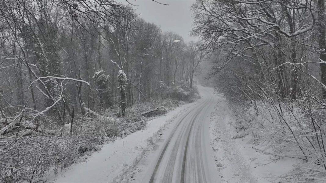 GSS akcija spašavanja: Majka i dijete se izgubili na Fruškoj gori