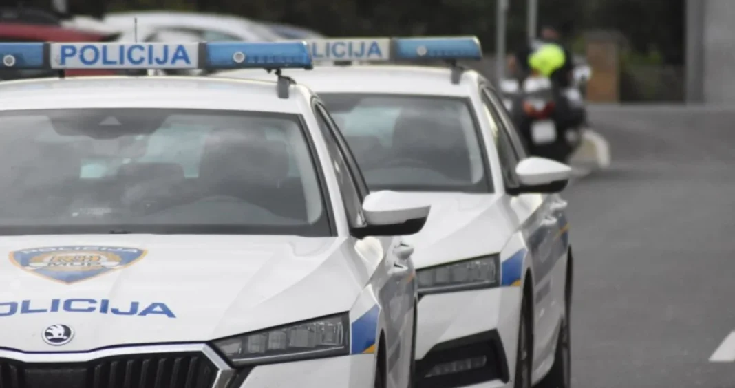 Haos u hotelu u bh. komšiluku: Pijana Ruskinja umjetnim spolnim organom napala zaštitare Haos u hotelu u bh. komšiluku: Pijana Ruskinja umjetnim spolnim organom napala zaštitare