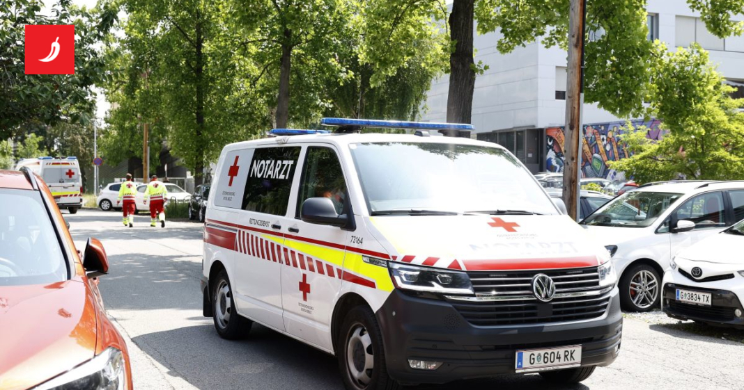 Majka u Austriji nožem ubila 12-godišnjeg sina