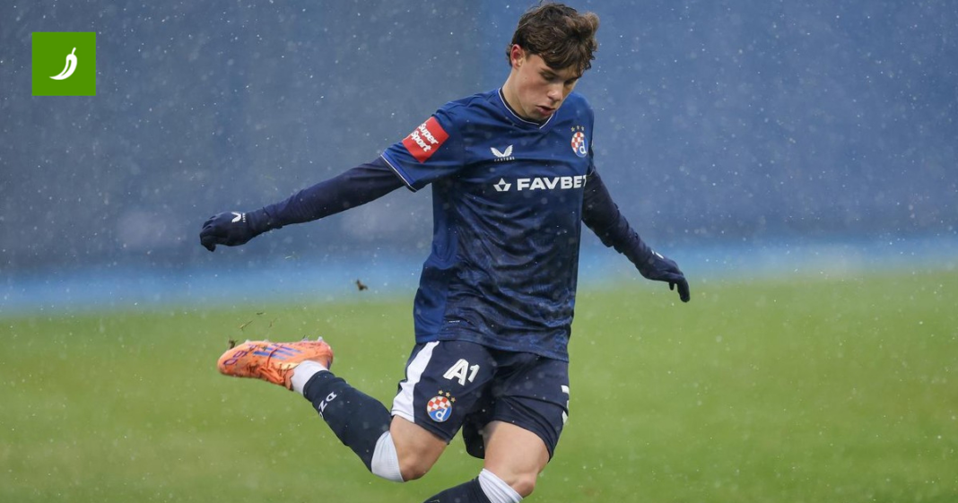 Mikić će napustiti Dinamove pripreme. Evo zašto Mikić će napustiti Dinamove pripreme. Evo zašto