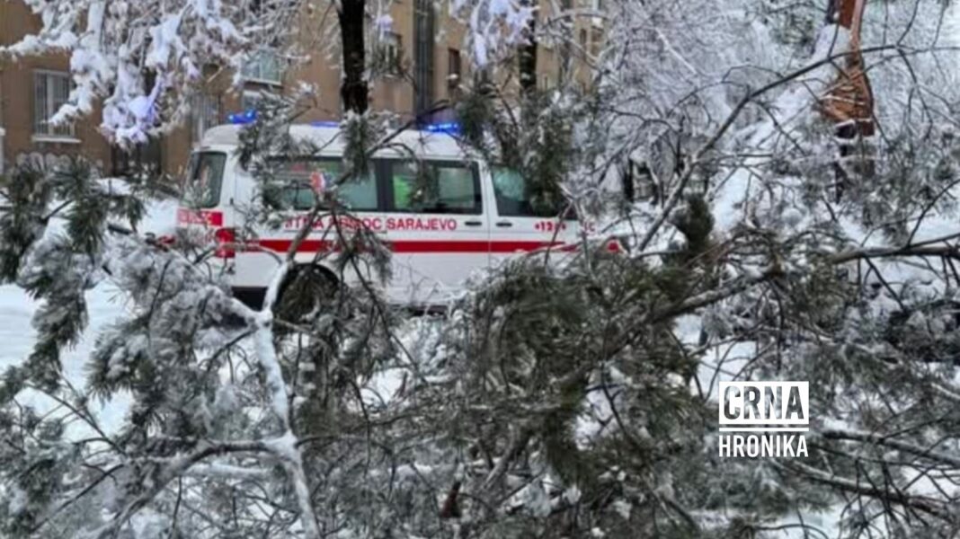 Na Grbavici drvo palo na prolaznicu – jedna osoba teško povrijeđena