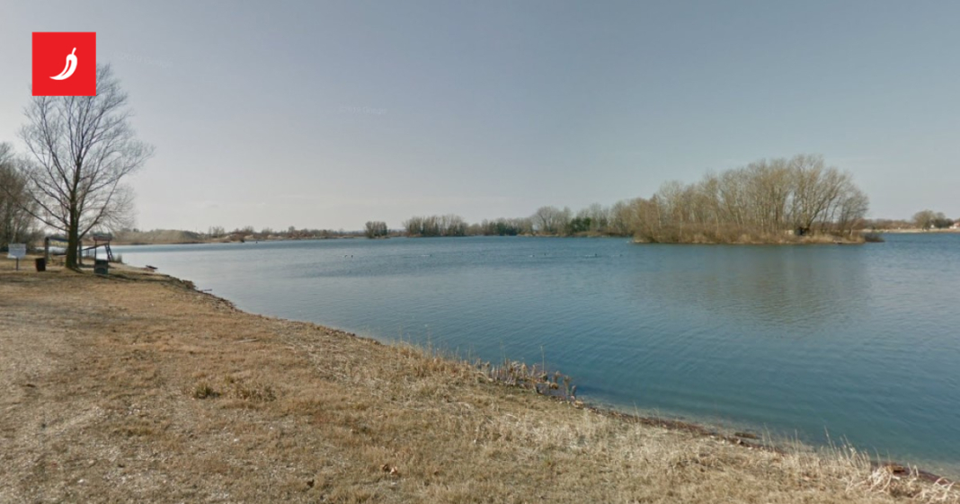 Na jezerima kod Koprivnice pronađeni mrtvi labudovi