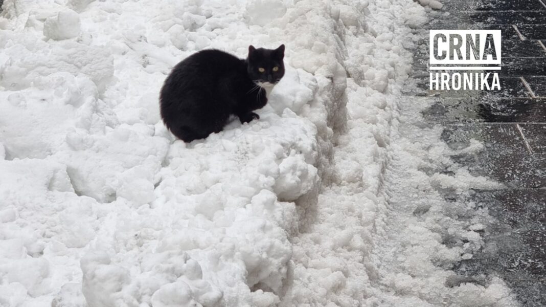 NiP Visoko: „Pola miliona maraka izdvojeno za održavanje cesta — a građani odsječeni i trotoari neprohodni“