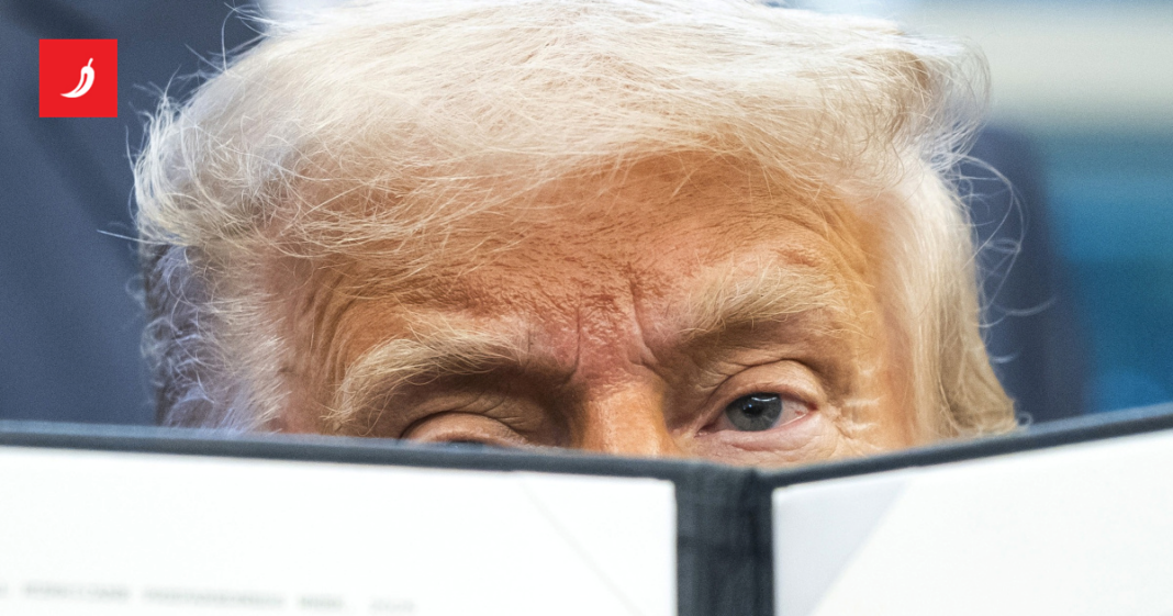 Otkriven tajni potez SAD-a, Meloni: “Upozorila sam Trumpa.” Novi vojnici stigli u Nuuk