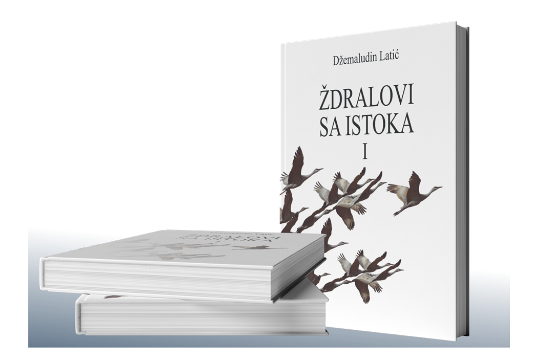 PROSKRIBIRANA POVIJEST BOSANSKIH MUSLIMANA Fatić: Sa romanom „Ždralovi sa istoka“ Latić se predstavio kao bosanski Victor Hugo