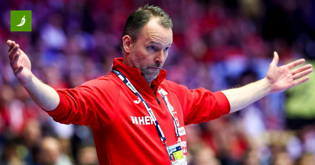 SIgurdsson: Dat ćemo sve za medalju