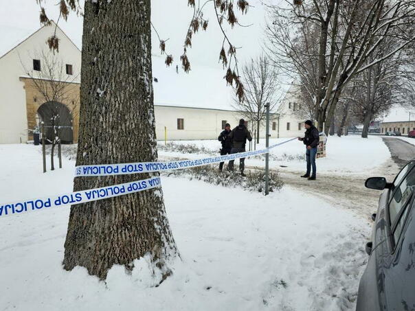 Slvoenija: Učenik prvog razreda nožem izbo učenicu četvrtog razreda