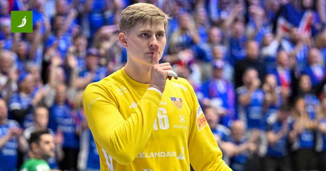 Šola o vrataru Islanda: Sramoti nas golmane. Smiješno…