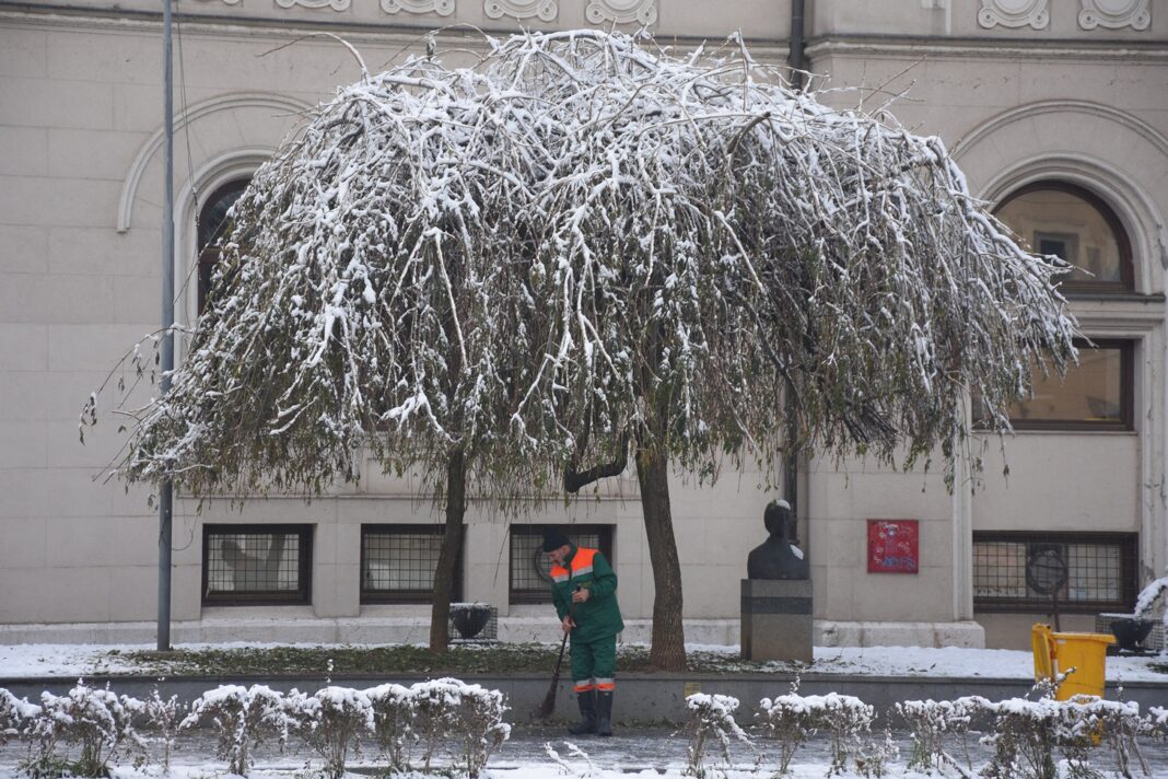 Šumarski fakultet oštro: Sarajevo nema strategiju ni bazu podataka o stanju stabala Šumarski fakultet oštro: Sarajevo nema strategiju ni bazu podataka o stanju stabala