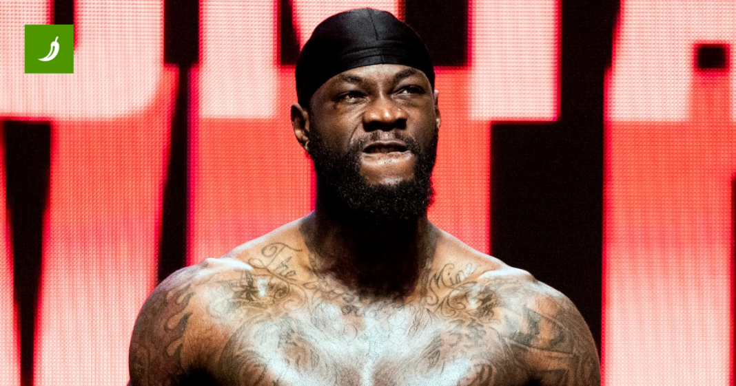 Wilder otkrio tko ga je najjače udario: Mislio sam da ima cigle u rukavicama