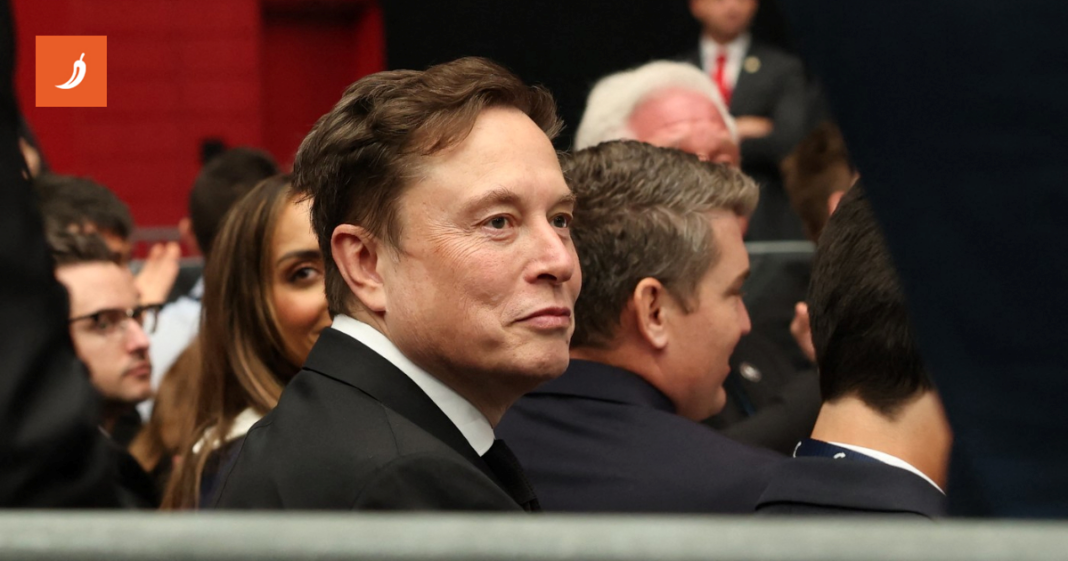 Godinama vjeruje da se dopisuje s Elonom Muskom. Ostala bez 11.000 eura