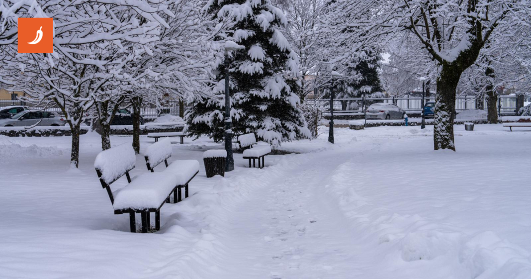 Pogledajte kako izgleda hrvatski grad u kojem je palo 16 cm snijega