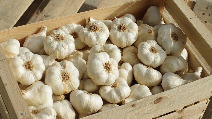 Ojačajte tijelo i imunitet ovim namirnicama