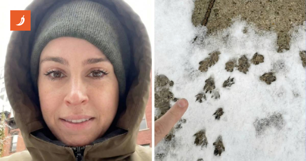 Prošetala New Yorkom kad je pao snijeg, zgrozio je detalj: “Štakori vladaju gradom”