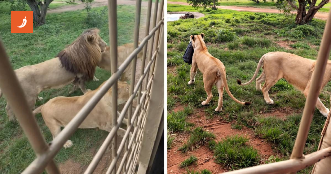 “Curo, jesi li realna?”: Lavica iščupala jaknu ženi, ona tražila da netko ode po nju