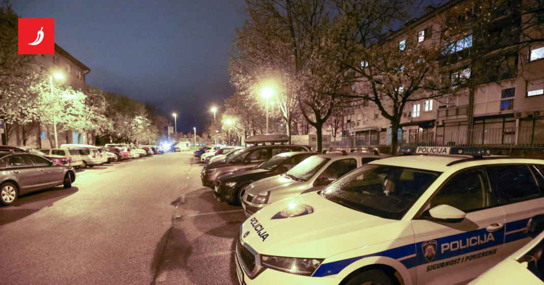 Bivša političarka lani je ubila majku. Osuđena je, ali neće u zatvor