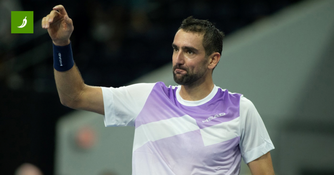 Čilić dominantnom pobjedom ušao u četvrtfinale Dallasa