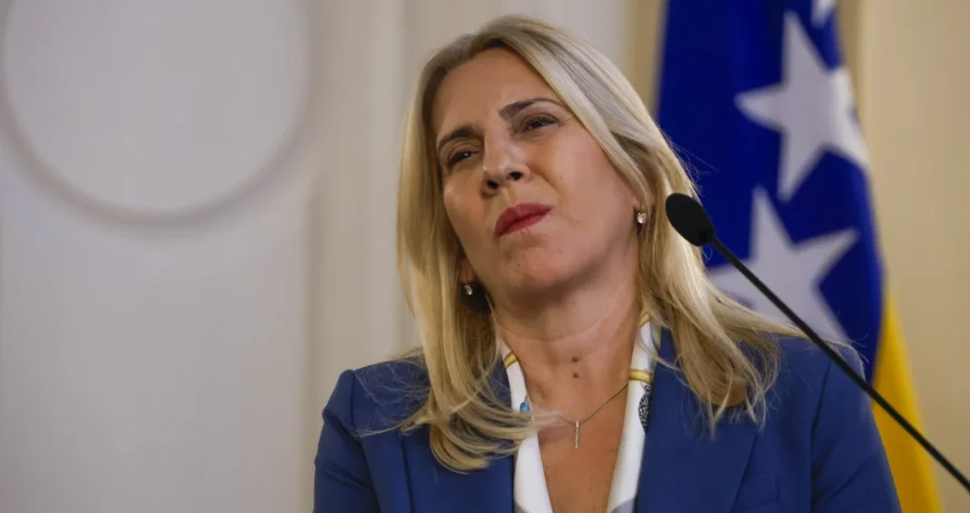 Cvijanović: Konaković glumi pajaca, Ćudić upozorava SAD, a RS na sve ima institucionalni odgovor