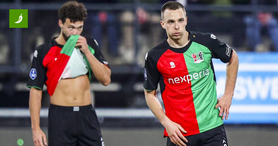 Darko Nejašmić će nastupati za BiH?