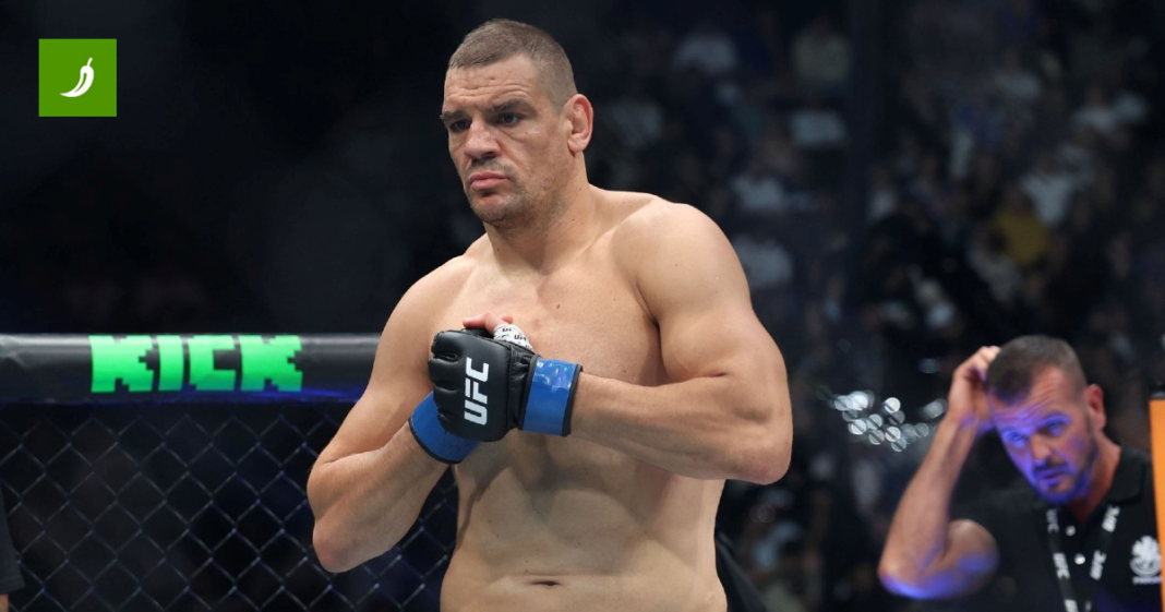 Delija izgubio u UFC-u odlukom sudaca