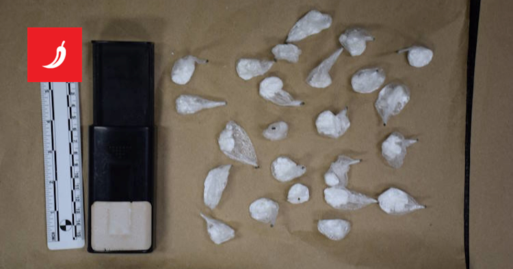 Diler u Zagrebu policiji predao 24 paketića kokaina