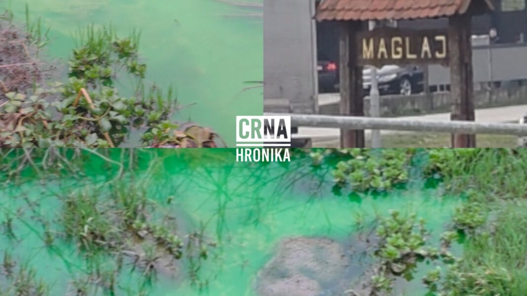 Ekološka katastrofa u Maglaju: Zeleno zagađenje u riječici koja se ulijeva u Bosnu