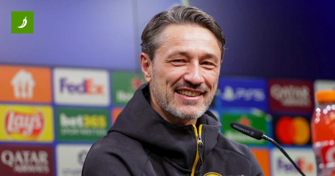 Kovač na pitanje novinara: Koji su to navijači? Ime, adresu, broj, koliko ih je? Kovač na pitanje novinara: Koji su to navijači? Ime, adresu, broj, koliko ih je?